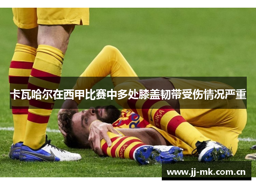 卡瓦哈尔在西甲比赛中多处膝盖韧带受伤情况严重 卡瓦哈尔在西甲比赛中多处膝盖韧带受伤情况严重